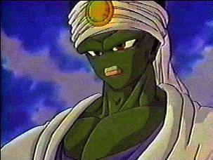 pikkon.jpg