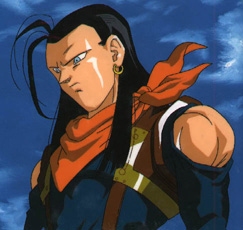 super17.jpg